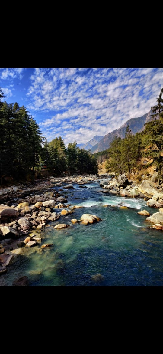 Kasol riverside pines and blue sky