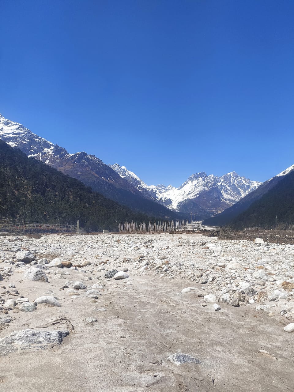 Yumthang valley snow peaks — Sikkim