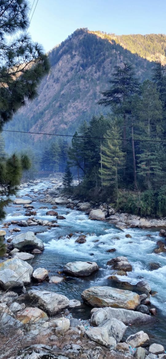 Parvati river rapids through pine mountains — Kasol
